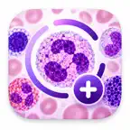 CellDiff Counter icon