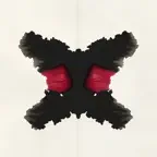 InkBlot Duo icon