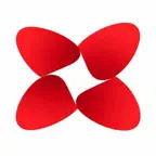 DBSExplore Icon