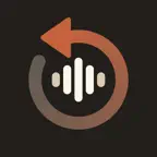 WristMemo - Watch Voice Notes icon