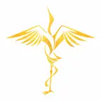 Тогоруу Биелгээ Бүжгийн Студи iOS Icon