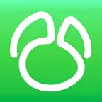Navicat for MySQL icon