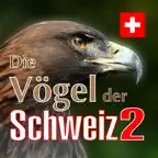 The Birds of Switzerland iOS Icon