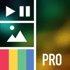 Vidstitch Pro for Instagram iOS Icon
