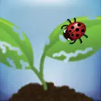 EDDMapS Biocontrol iOS Icon
