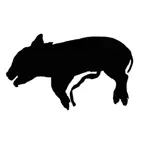 Dig a Pig iOS Icon