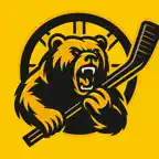 Boston Bruins Hockey Fan News iOS Icon