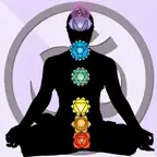 Chakra Test - discover the state of your chakras, harmonize the energy of your unbalanced chakras iOS Icon