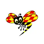 Expressen Nyheter icon