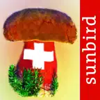 Pilzführer Schweiz – Pilze Pro iOS Icon