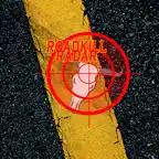 Roadkill Radar iOS Icon