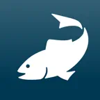 iFiske - Fishing Permits Icon