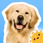 Touch, Look, Listen ~ My First Words iOS Icon