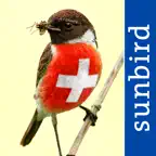 All birds CH - photo guide iOS Icon