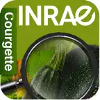 Di@gnoplant Courgette iOS Icon