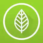 Garden Plate iOS Icon