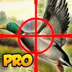 A Cool Adventure Hunter The Duck Shoot-ing Game By Free Animal-s Hunt-ing & Fish-ing Games For Adult-s Teen-s & Boy-s Pro iOS Icon
