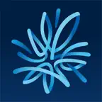 My AMP iOS Icon
