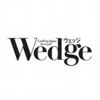 Wedge icon