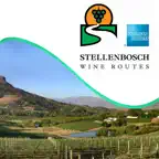 Stellenbosch Wine Routes iOS Icon