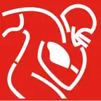 NFLPA Meetings iOS Icon