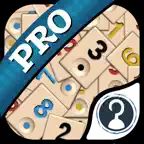 Okey Pro iOS Icon