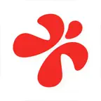彩视-影集视频制作简单好用 Icon