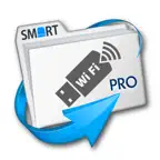 Disk Mounter Professional iOS Icon