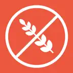 GF Plate iOS Icon