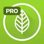 Garden Plate Pro iOS Icon