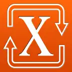 Roman Numerals Converter iOS Icon