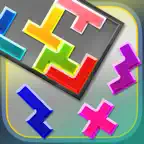 2339 of Pentomino iOS Icon