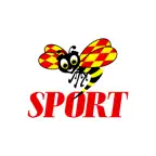SportExpressen iOS Icon