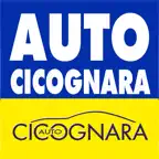 Auto Cicognara iOS Icon