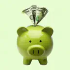 Pocket Money Manager iOS Icon