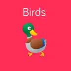 Birds Flashcard for babies and preschool iOS Icon