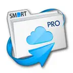 File Explorer Professional iOS Icon