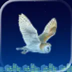 Wise Flyer iOS Icon