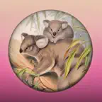 Field Guide to Queensland Fauna Icon