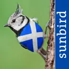 All Birds Scotland Photo Guide iOS Icon