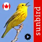 Bird Song Id Canada birdsongs icon
