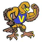 Vassar Elementary iOS Icon