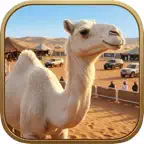 Climbing Sand Dune OFFROAD Icon