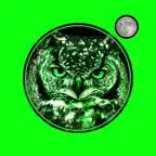 NightVision-PRO iOS Icon