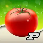Purdue Tomato Doctor iOS Icon