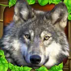 Wildlife Simulator: Wolf iOS Icon