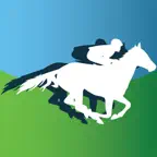 HorseRacePicks iOS Icon