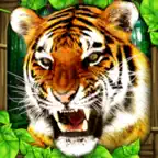 Tiger Simulator iOS Icon
