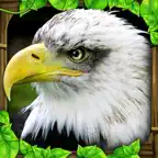 Eagle Simulator iOS Icon