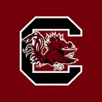 South Carolina Gamecocks iOS Icon